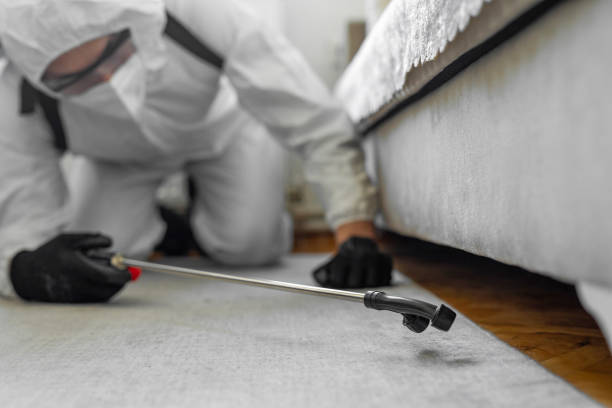 Professional Bed Bug Control technician working in Chesapeake, VA