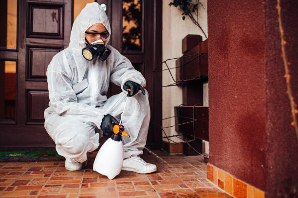 Reliable Bed Bug Control contractor in Chesapeake, VA by Nex Pest Control